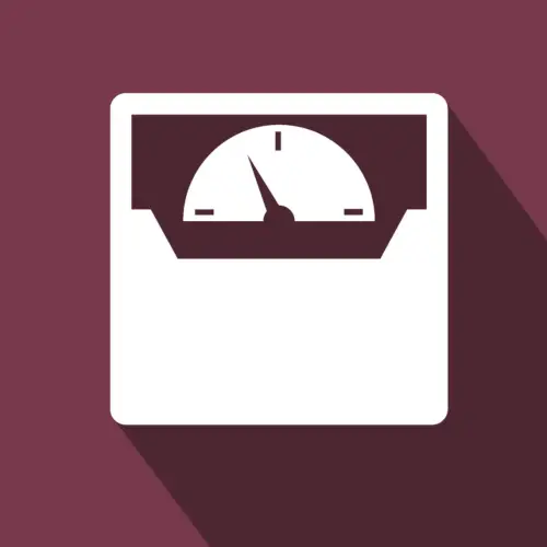 weight scale icon